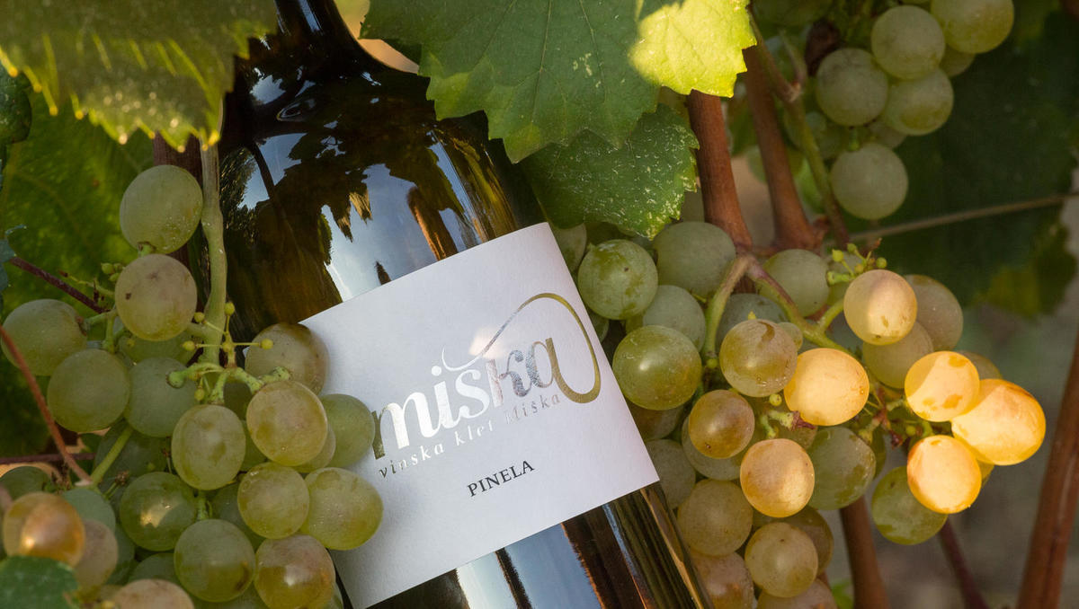 Pestra izbira vrhunskih vin 2